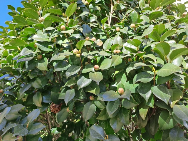 KakaoTalk_20260109_145430736.jpg